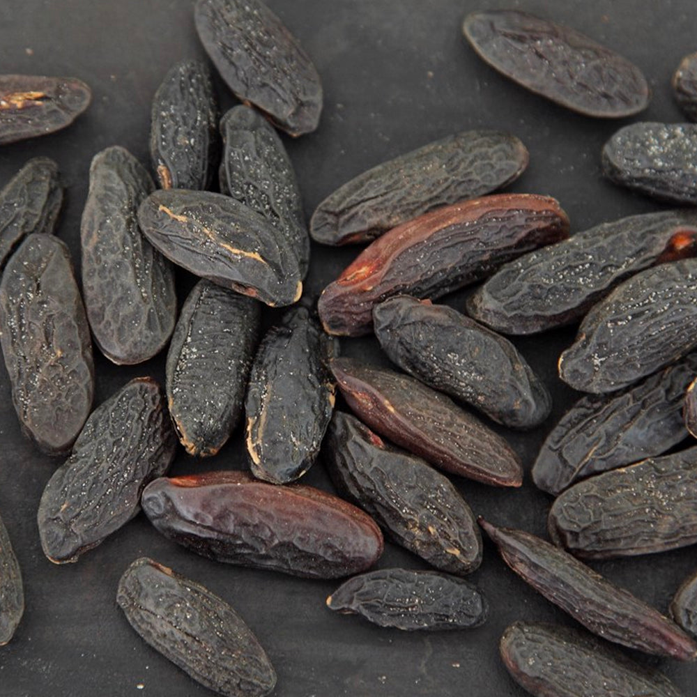 Warm Oud All Good Scents